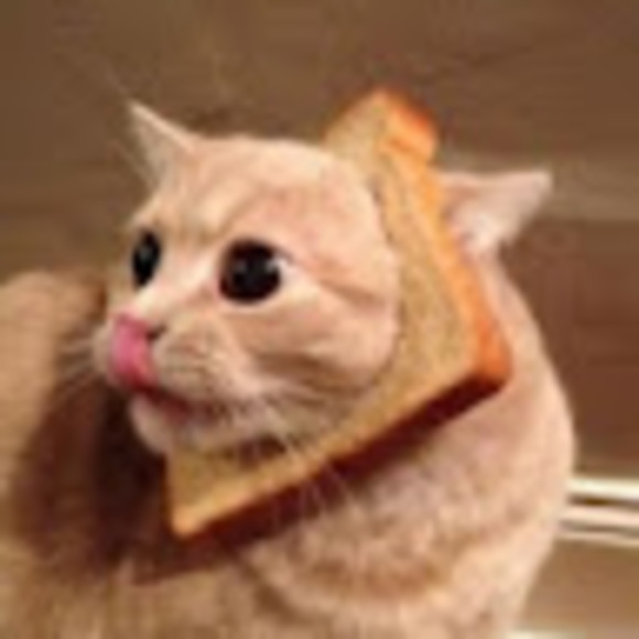 Meet your Posher, Sam - Picture 1 of 1